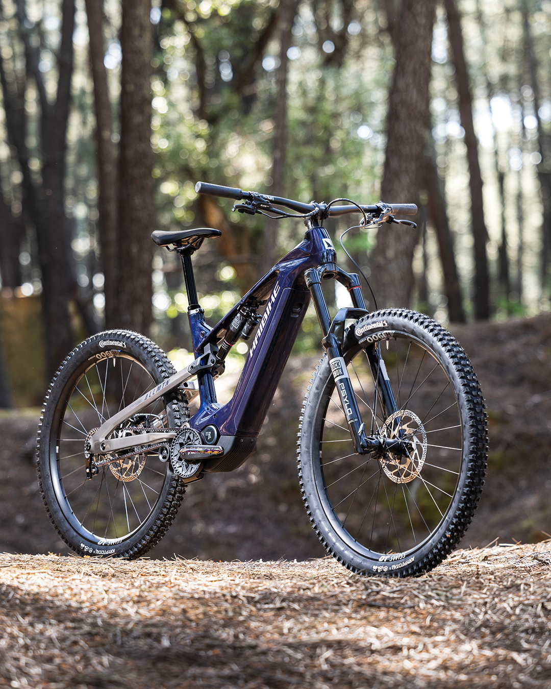 HAIBIKE ALLMTN CF 10 TRN/IQ