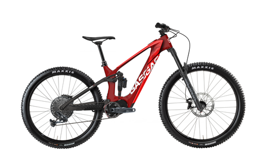 GasGas MXC 4