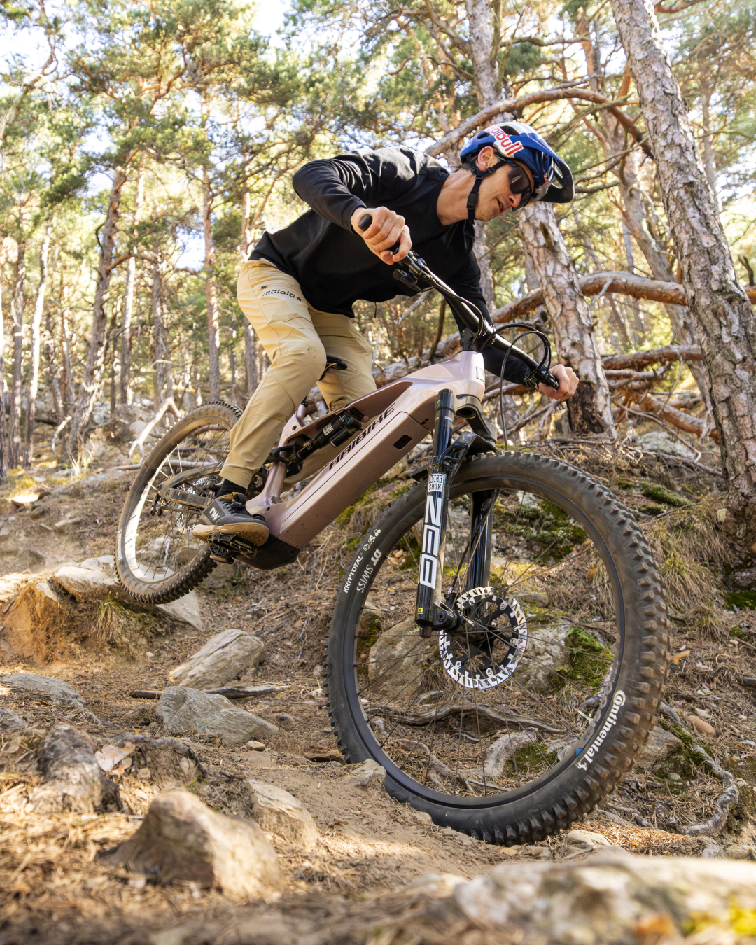 Haibike ALLMTN CF 11 TRN/IQ