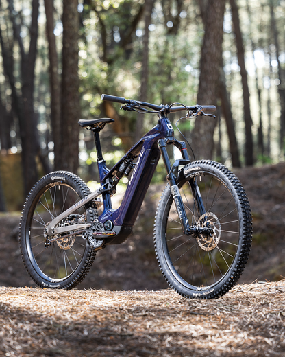HAIBIKE ALLMTN CF 10 TRN/IQ