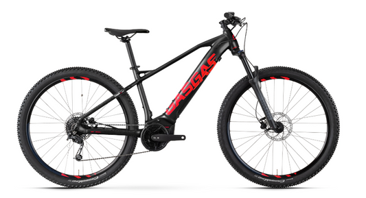 GasGas TRA 4 - eMTB with Yamaha Motor and RockShox Forks