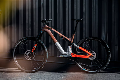 HAIBIKE LYKE 10 2024