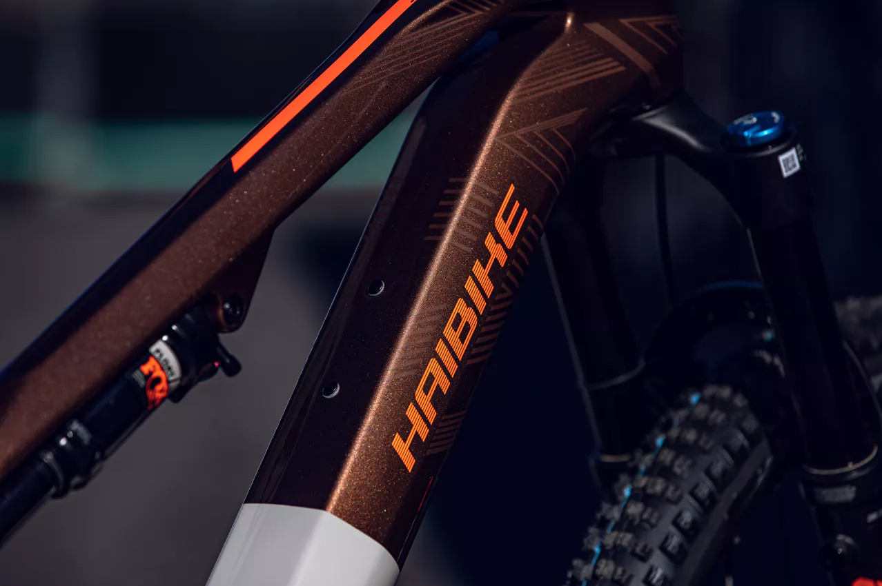 HAIBIKE LYKE 10 2024