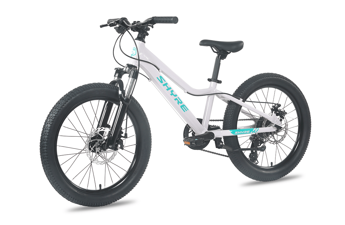 Shyre Eastie 20" Wheel Kids Mountain Bike