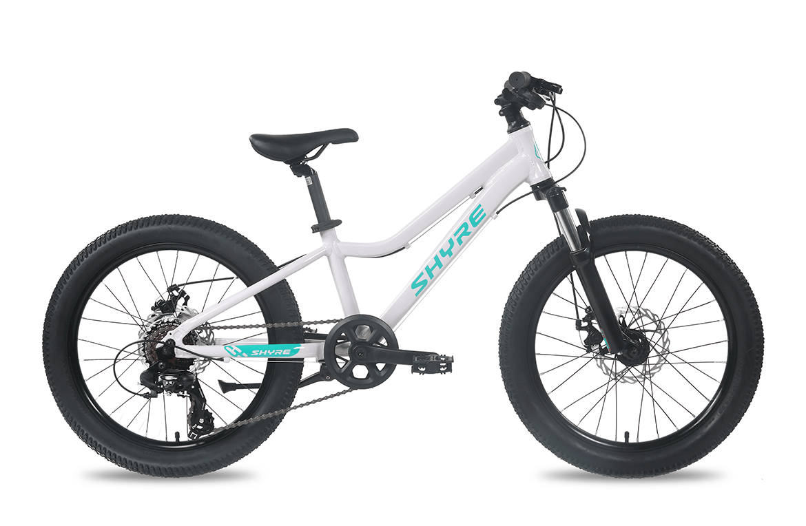 Shyre Eastie 20" Wheel Kids Mountain Bike