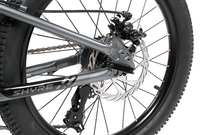 Shyre Eastie 20" Wheel Kids Mountain Bike