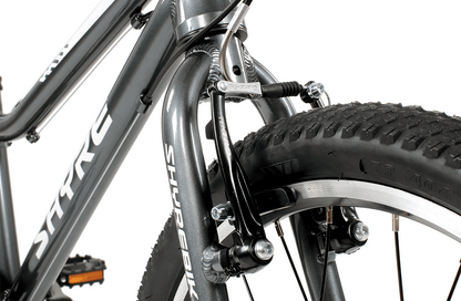 Shyre Hopton 20" Wheel Hybrid Kids Bike